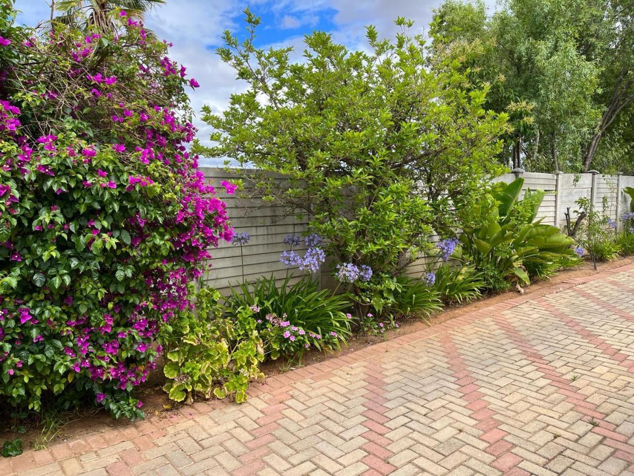 Oppi Draai Guesthouse Oudtshoorn Esterno foto
